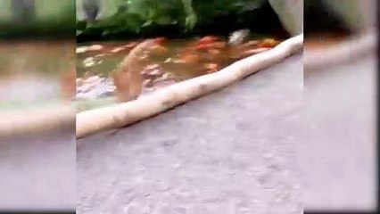 You Just Got Busted Reaction | Funny Anime Moments