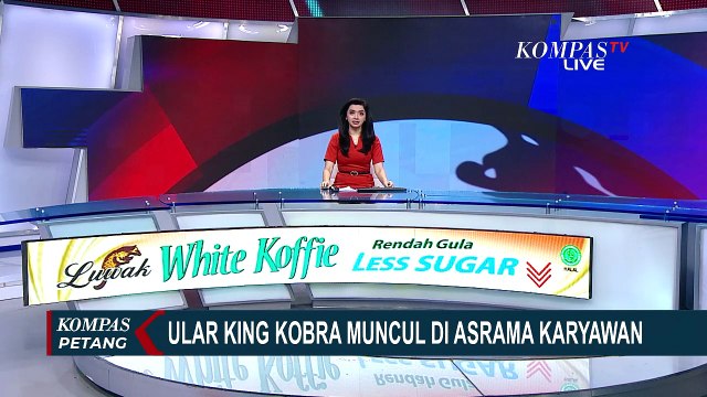 Video Penampakan Ular Kobra yang Nongol di Toilet Asrama Karyawan