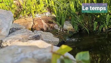 Quelqu'un/ Le jardin non secret,  avant l'hiver