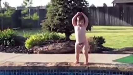 Baby Cats - Cute And Funny Cat Videos Compilation #35 | Aww Animals