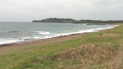 제주 해안사구, 개발에 80% 이상 사라져 훼손 심각 / YTN