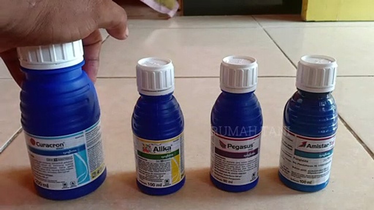 Empat Jenis Insektisida dan Fungisida Cabai Merah