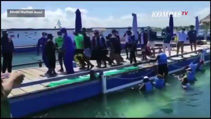 Lumba-lumba yang Sempat Viral karena Lucinta Luna, Kini Dievakuasi