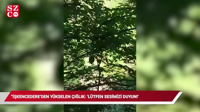 İşkencedere'den yükselen çığlık: Lütfen sesimizi duyun, şu Ramazan günü! Ormanlarımızı katlediyorlar!