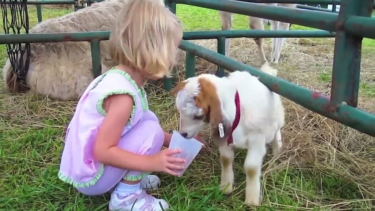 Try Not To Laugh - Funniest  Baby at the Zoo _ Funny Animals Reaction