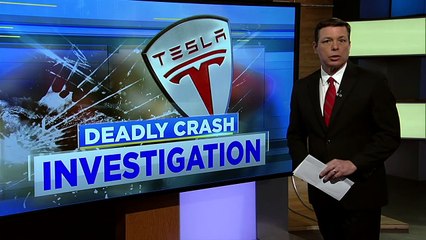 Elon Musk Responds To Tesla Model S Crash In The Woodlands