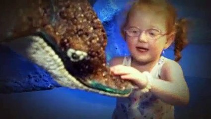 OutDaughtered S06E04