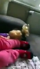 Dünyanın en sevimli geri vitesi