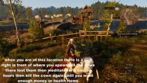 The Witcher 3 Unlimited Health (Healing) Items And Unlimited Money Farming Spot *Patched*