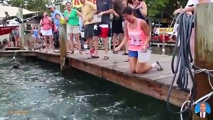 Try Not To Laugh | Funny Babies At The Zoo  - Laugh Trigger