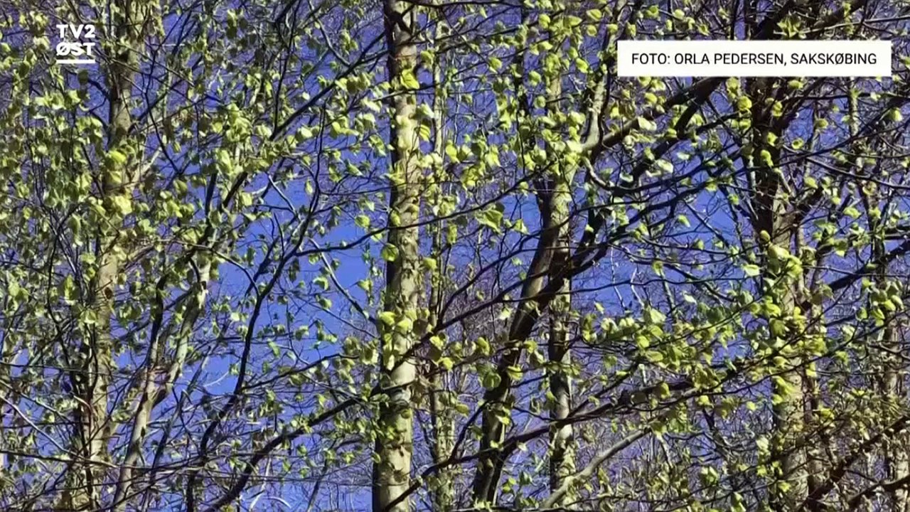 OUTRO - 19:30 Nyheder og sidste gang med gammel jingle | 11 April 2021 | TV2 ØST - TV2 Danmark