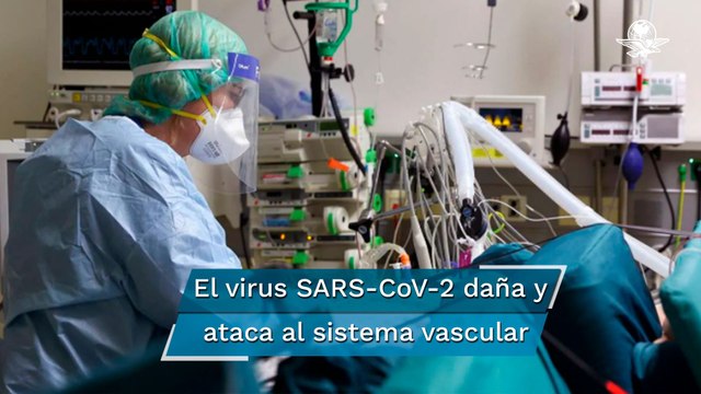 Investigación confirma que el Covid-19 es una enfermedad vascular