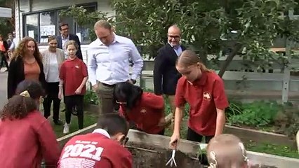 Victoria announces net zero carbon emissions