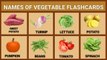 Names Of Vegetables Flashcards For Toddlers / Learning Names Of Vegetables In English For Kids