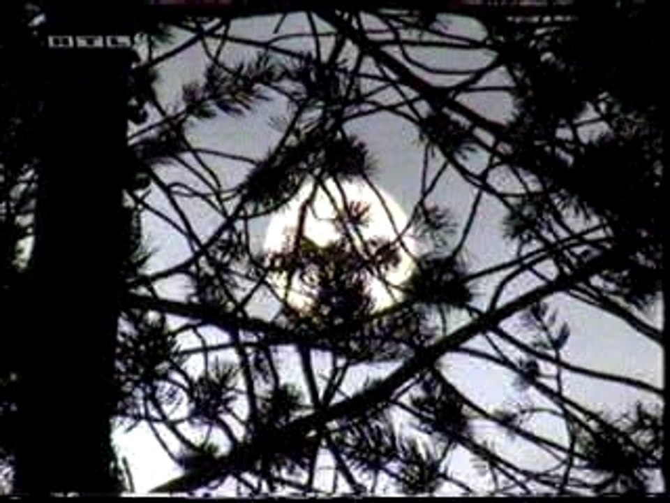 Top Gear - McLaren F1 in Snow dans la neige Hakkinen