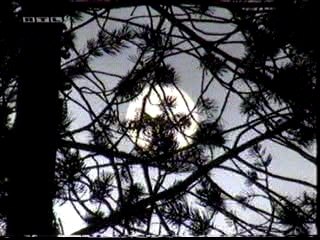 Top Gear - McLaren F1 in Snow dans la neige Hakkinen