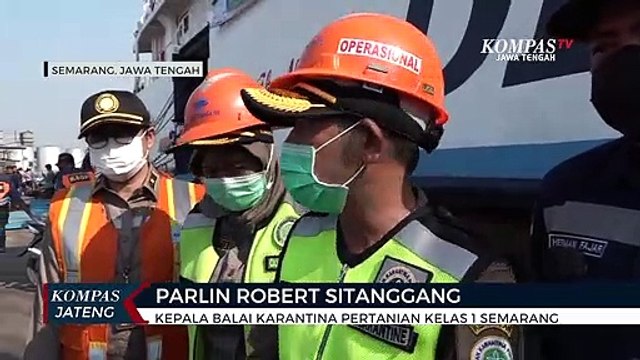 Belasan Burung Milik Pemudik Tanpa Dokumen Disita di Pelabuhan Tanjung Emas Semarang