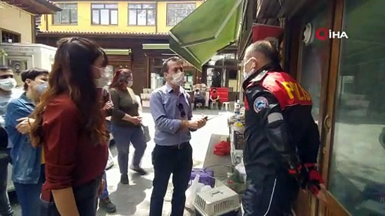 Kediler kapalı lokantada mahsur kaldı: 1 kedi öldü, 2 kedi kurtarıldı