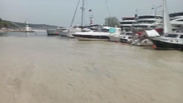 İzmit Körfezi'nde görülen deniz salyası etkisini sürdürüyor