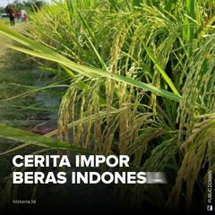 Cerita Impor Beras Indonesia | HISTORIA.ID