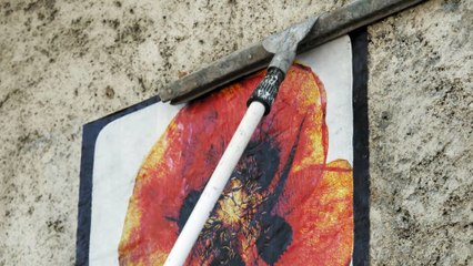 "L'herbier des pétales aux pixels" Un film de Marie-Christine Fourneaux - Bande-annonce