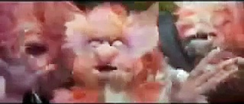 Freeze Dance | Freeze Song | Freeze Dance For Kids | Music For Kids | The Kiboomers