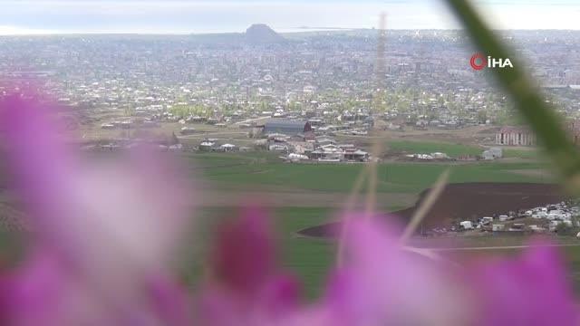 Erek Dağı'ndan Van'a hayran bırakan kuşbakışı