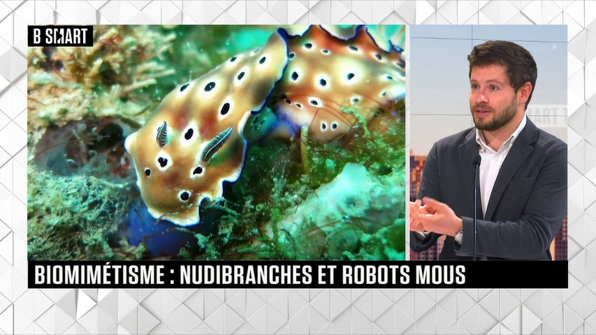 LE RENDEZ-VOUS du lundi 3 mai 2021