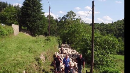 "En Transhumance vers le Bonheur" Un film de Marc Khanne - Bande annonce