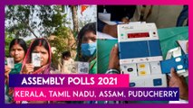 Assembly Polls 2021: LDF Retains Kerala, DMK Back In Tamil Nadu After 10 Years, BJP In Assam