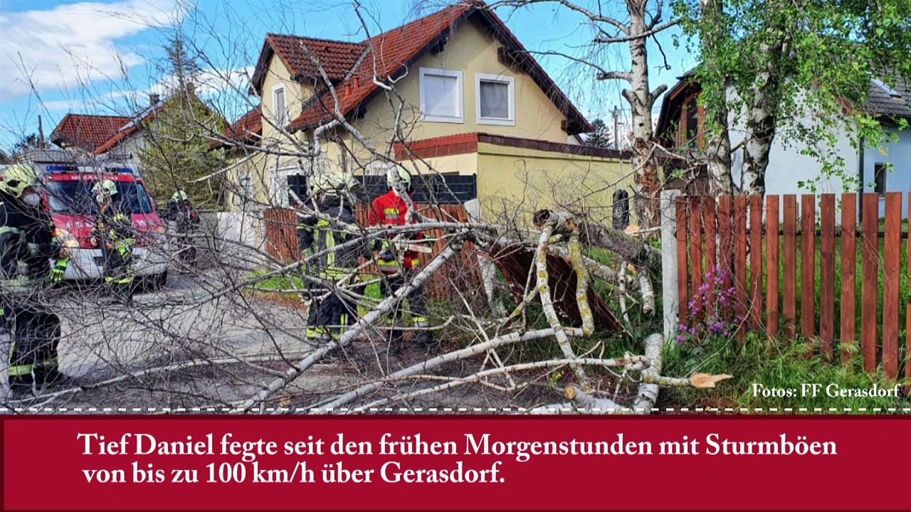 (Gerasdorf) Sturmschäden FF Gerasdorf im Dauereinsatz