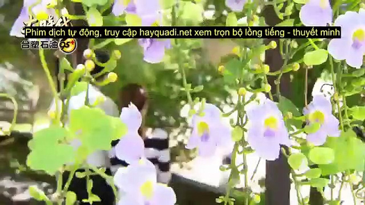 Đại Thời Đại Tập 792 - THVL1 Lồng Tiếng - Tap 793 - Phim Đài Loan - Phim Dai Thoi Dai Tap 792