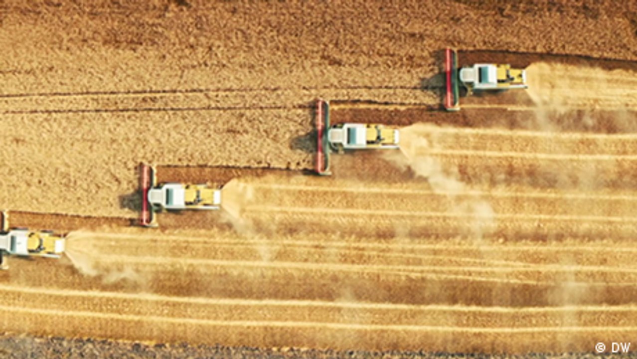 Saatgutvielfalt in Gefahr