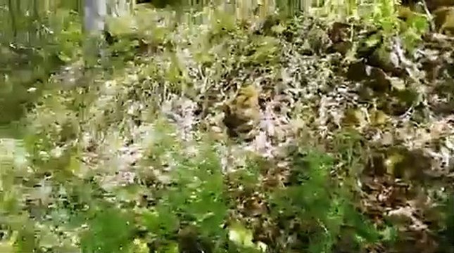 İşkencedere Vadisi için gözyaşlarıyla destek istedi: Lütfen destek verin, 3-5 kişiyle yapabileceğimiz bir şey değil