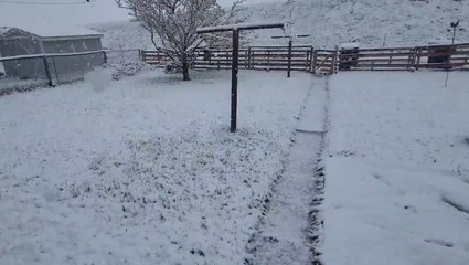 Spring snow accumulates in parts of Colorado and Wyoming
