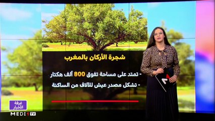 مساء الأخبار - المسائية 20:00 - 10/05/2021