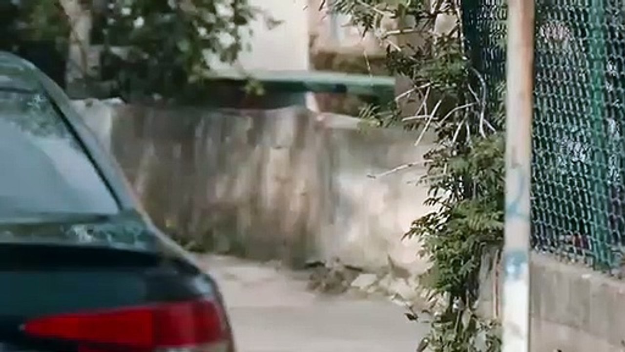 مسلسل تشيكور الموسم الرابع الحلقة 36 مترجمة للعربية قسم 2