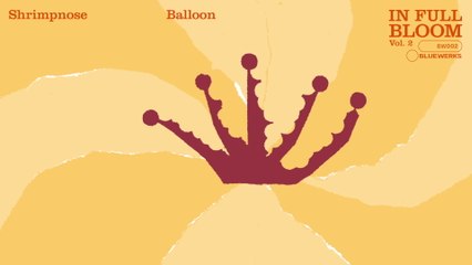 Bluewerks - Balloon