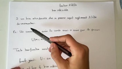 Fonction d’utilité pour les biens indésirables - microéconomie S1