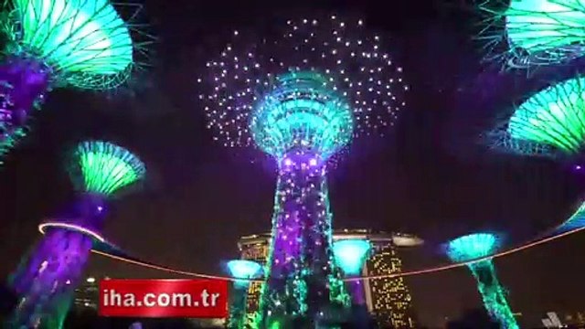 Ağaçların dansı, izleyenleri hayran bıraktı