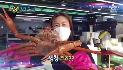 [예고] 내가 누구~게? 내가 바로 후포리 붉은 대게!
