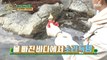 [HOT] Seokjin & Suyong & Donghyun enjoying the joy of harvesting, 안싸우면 다행이야 210503