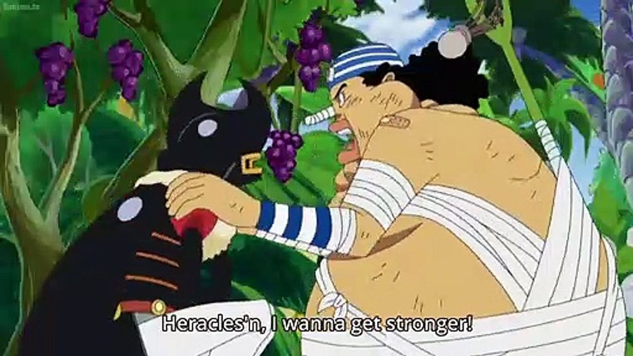 Rayleigh taught Luffy Conqueror's Haki, Mihawk takes Zoro as his disciple