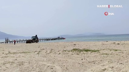 Kuşadası'nda sahile vurdu: Tam 3.6 metre boyunda!