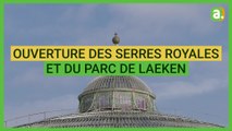 Les serres royales et le parc de Laeken ouverts au public: une visite exceptionnelle grâce… au Covid