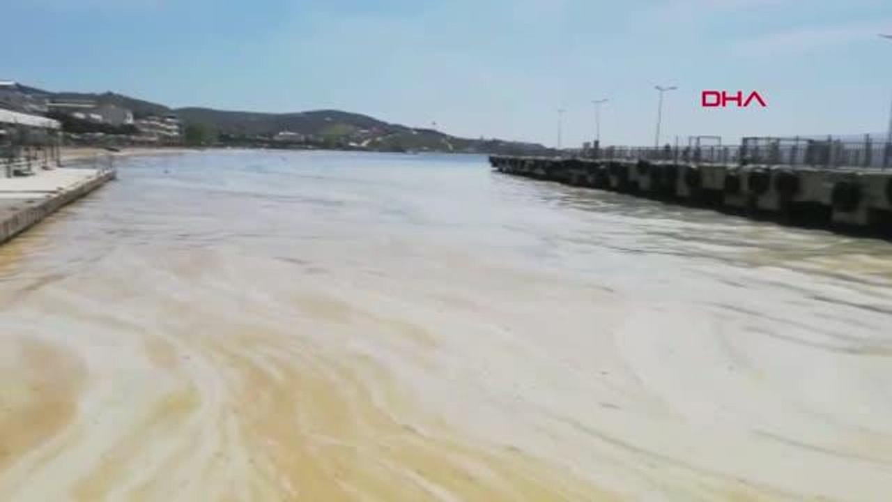 BALIKESİR AVŞA ADASI KIYILARINI DENİZ SALYASI KAPLADI