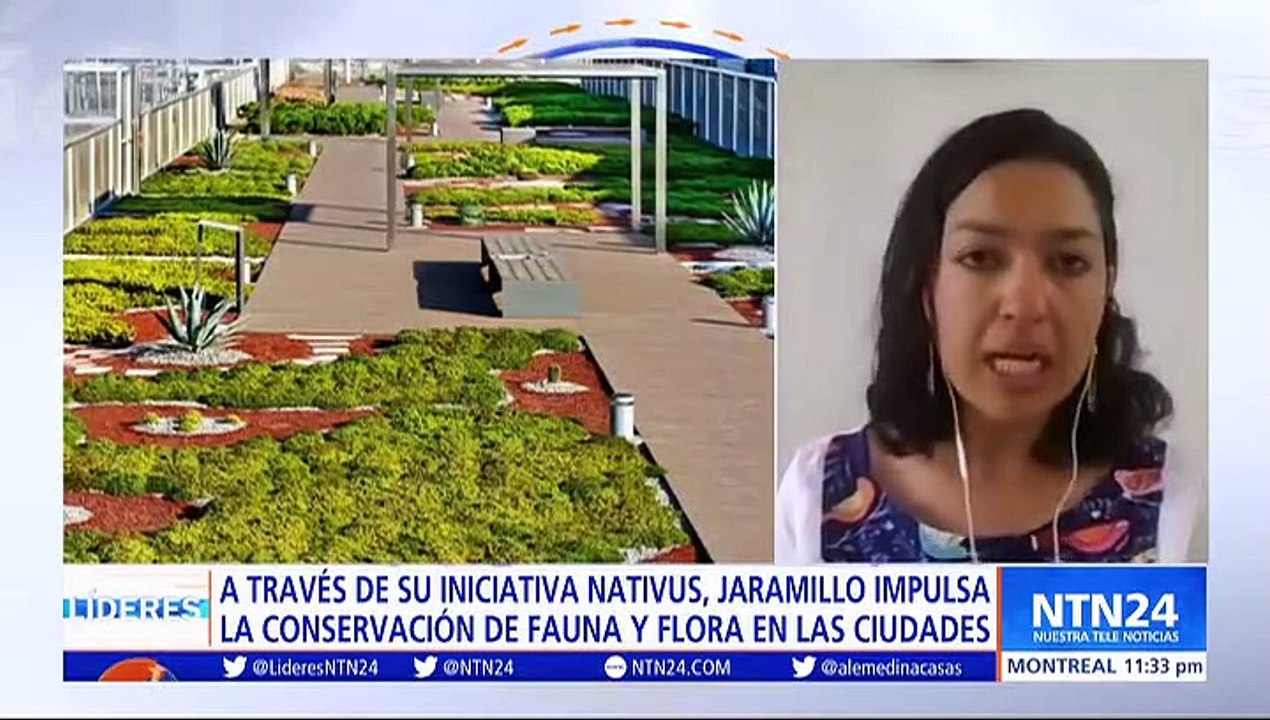 Líderes de NTN24 entrevista: a Liliana Jaramillo