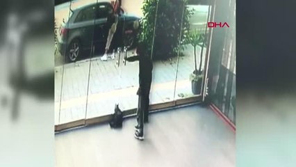 İZMİR İKİ ÇOCUĞUN KEDİYİ BAYILTANA KADAR DÖVMESİNE TEPKİ