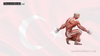 Органы человеческого тело на турецком