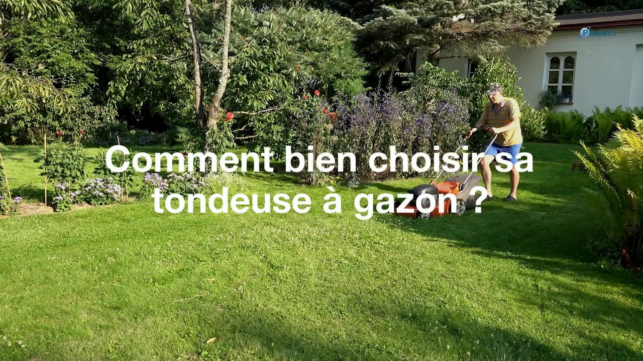 Comment bien choisir sa tondeuse à gazon ?